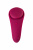 Мини-вибратор в трусики Satisfyer Sexy Secret c управлением через мобильное пиложение арт. J2018-98