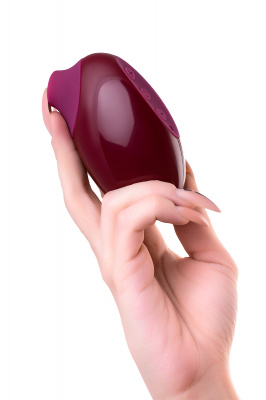 Вакуумный стимулятор клитора TOYFA A-Toys Myrty, бордовый, 9,8 см арт. 761060