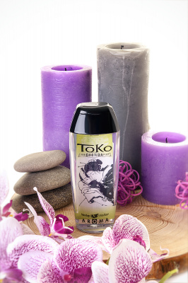 Лубрикант Shunga Toko Aroma на водной основе, дыня и манго, 165 мл арт. 276403