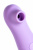 Вакуум-волновой стимулятор клитора Flovetta LILAC, ABS пластик, фиолетовый, 12,5 см арт. 457709