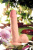 Реалистичный фаллоимитатор TOYFA RealStick Elite DILDO, TPR, телесный, 20 см арт. 982002-1