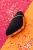Вакуум-волновой бесконтактный стимулятор клитора Satisfyer Love Triangle,ABS пластик+силикон, Черный арт. J2018-57-1