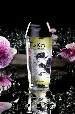 Лубрикант Shunga Toko Aroma на водной основе, дыня и манго, 165 мл арт. 276403