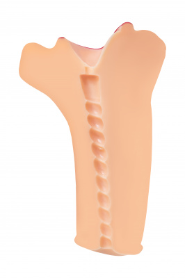 Мастурбатор реалистичный  TOYFA Juicy Pussy Juicy Lips, рот, TPR, телесный, 12,6 см арт. 893005