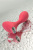 Анальная вибровтулка Satisfyer Backdoor Lover, красная, 11,2 см арт. J2018-112-2