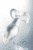 Анальная втулка Sexus Glass, стекло, прозрачная, 10,5 см, Ø 3,5 см арт. 912131 Анальная втулка Sexus Glass, стекло, прозрачная, 10,5 см, Ø 3,5 см арт. 912131