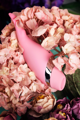 Многофункциональный стимулятор эрогенных зон Flovetta by Toyfa DAHLIA, силикон, розовый, 14 см арт. 457706