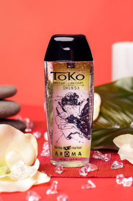 Лубрикант Shunga Toko Aroma на водной основе, дыня и манго, 165 мл арт. 276403